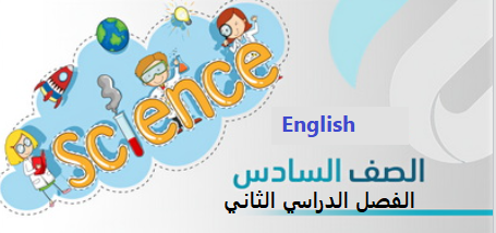أوراق عمل الفصل الثاني – سادس ابتدائي English ثنائي اللغة Bilingual